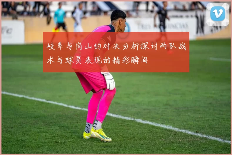 岐阜与岗山的对决分析探讨两队战术与球员表现的精彩瞬间